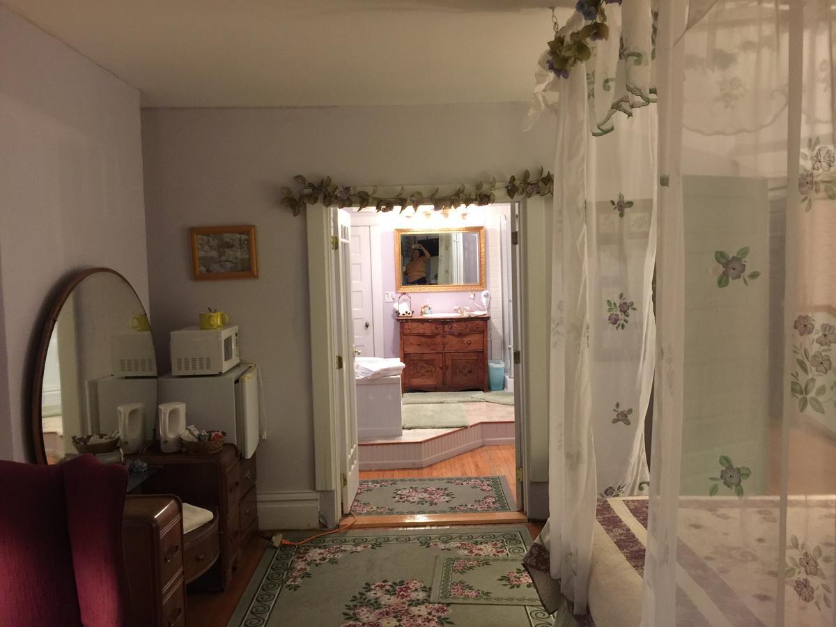 Scarlett House Victorian B & B Джейнсвилл Экстерьер фото