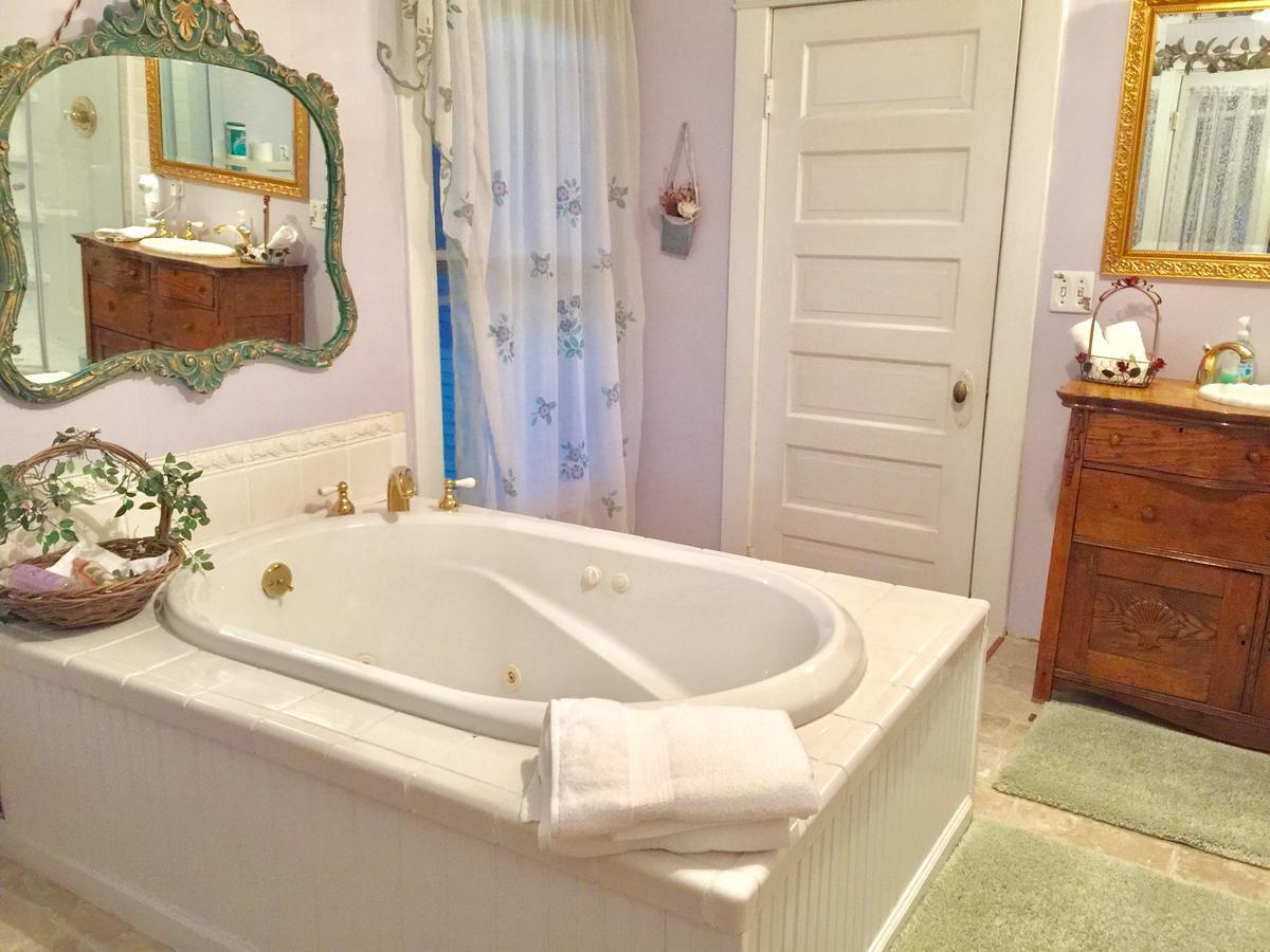 Scarlett House Victorian B & B Джейнсвилл Экстерьер фото
